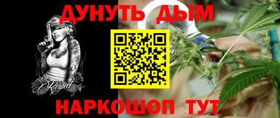 индика Краснознаменск