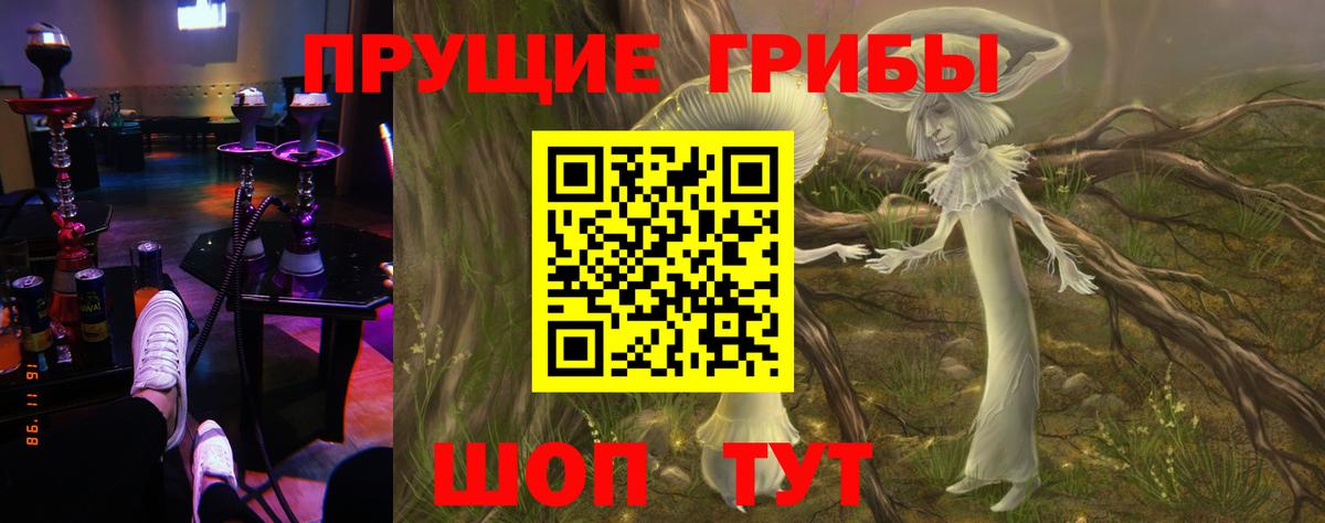Псилоцибиновые грибы ЛСД Зеленокумск